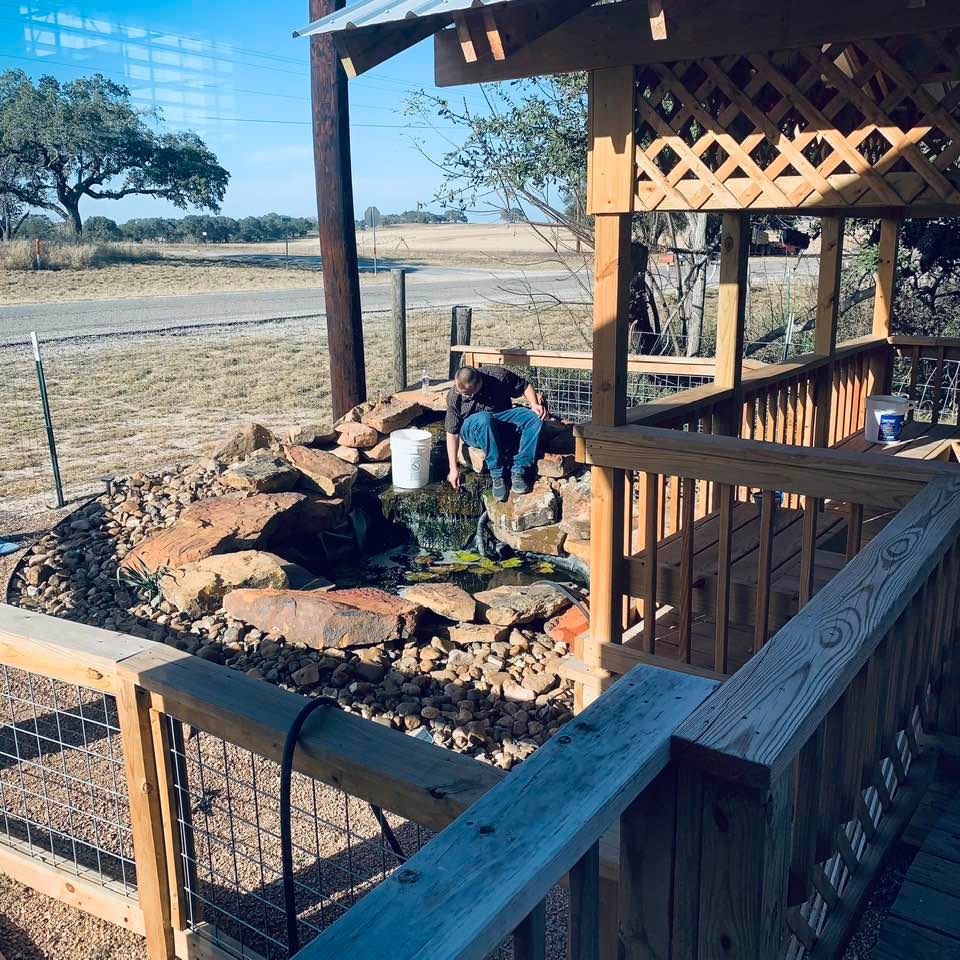 Algae grows in the pond even with the UV light in the filter.