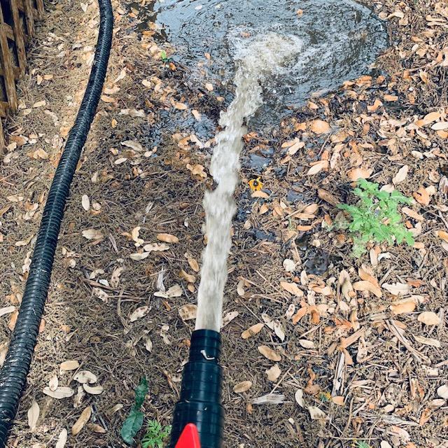 After a while of arm hurting work, the water comes out clean until the next day with all of the pollen.