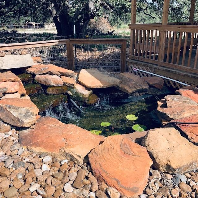 The pond always looks nicer when it is clean and full.