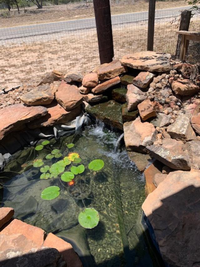 Filling the pond. It is looking clearer. I need to put in more algae killer.