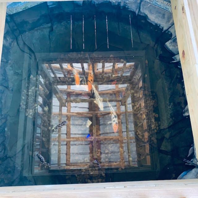 The covered pond has a good reflection of the metal roof above it as well as allowing you to see the fish.