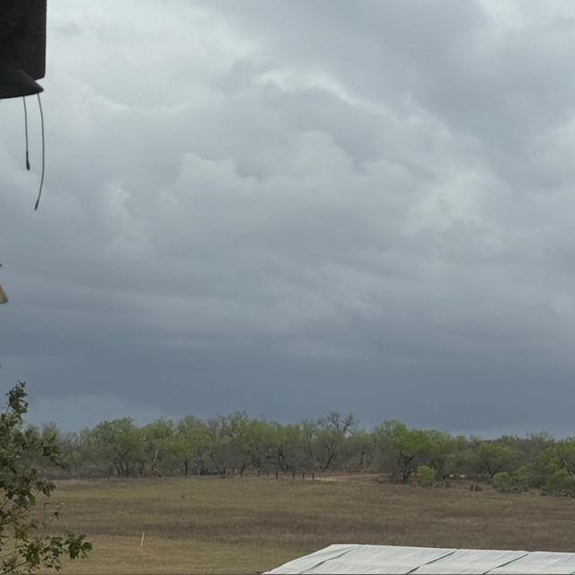 The clouds are getting thicker by the minute. Will they bring rain?