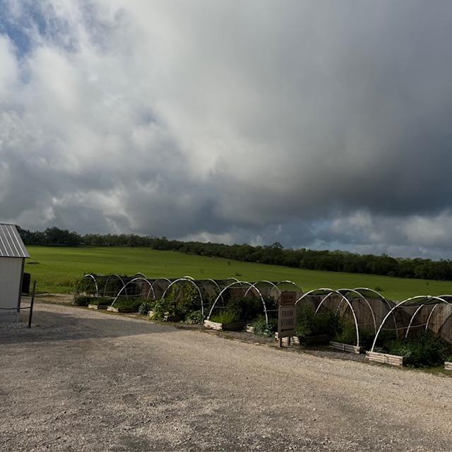 clouds062425 clouds062425