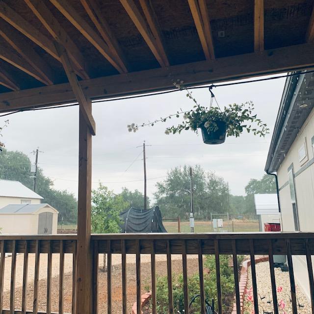This is shot from the front porch of our home. Our rose garden is in the foreground as well as a new mini hoop house for  planting fall garden seeds.
