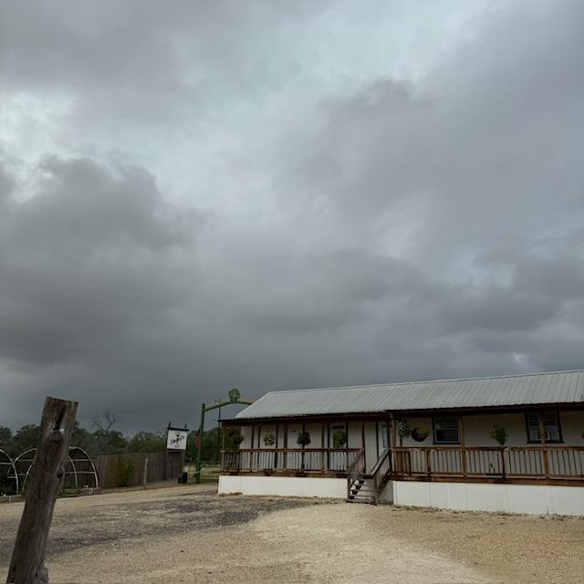 It's been overcast for days. For the entire week, we have received 3/4 of an inch. That is 1/2 inch more than we got last week!
