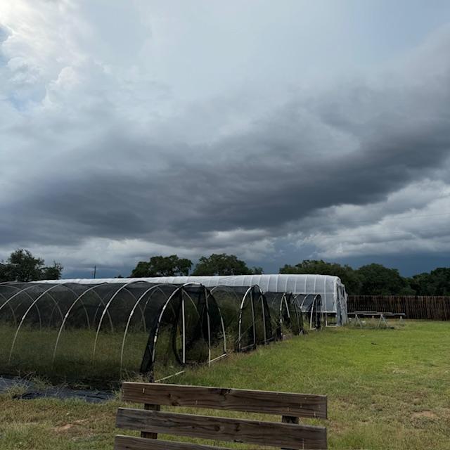 This is outback with our high tunnel and other hoop houses. Note the clouds. We were sure to get a storm...ha!