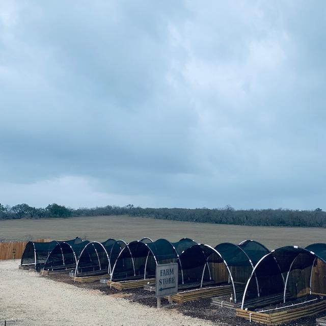 You will find shade cloth all over our farm, protecting our garden, including vegetables that do well in shade. You will find shade cloth all over our farm, protecting our garden, including vegetables that do well in shade.