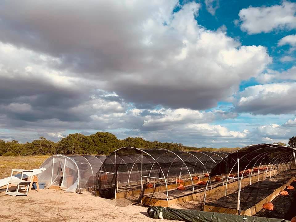 Clouds over our greenhouse and raised beds with hoops and shade cloth.
