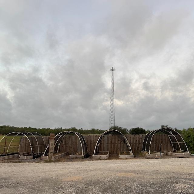 The garden beds are empty and ready to plant but it is too hot and humid. Still in the 90s every day.