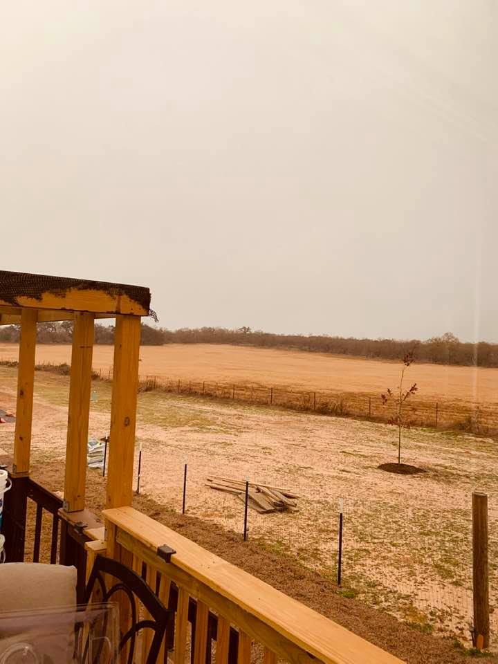 A wet, grey day. This is our back deck facing the next door meadow that has now turned brown.