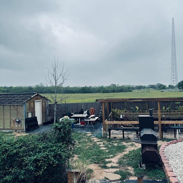 Clouds in the backyard along with my greenhouse and plant area.