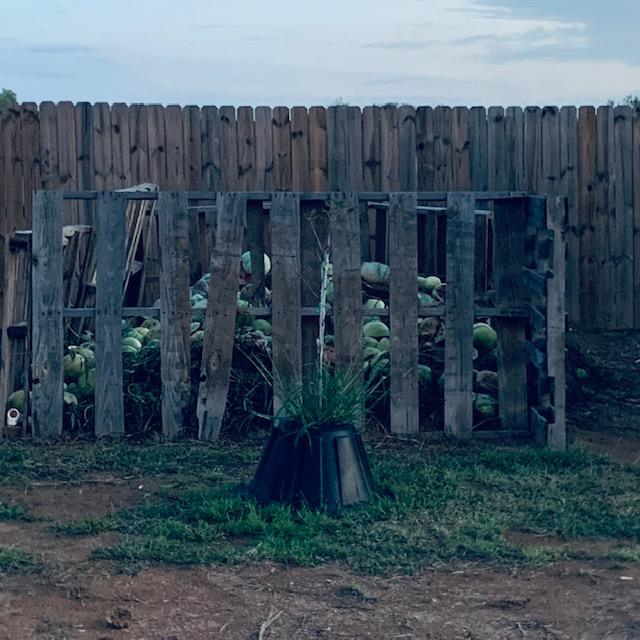 We have made a giant compost heap behind the pallets. Compost is a great way to give a boost to the soil in your garden. We have made a giant compost heap behind the pallets. Compost is a great way to give a boost to the soil in your garden.