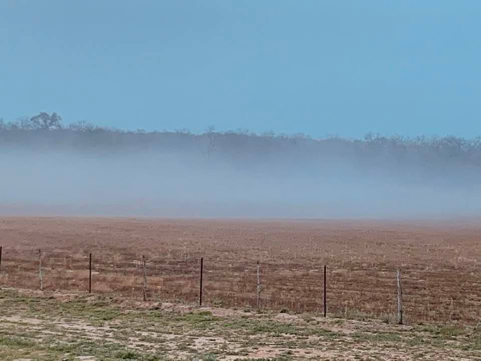 There was some early morning fog out behind our home today. It looked so cool.