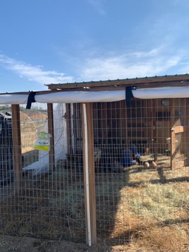 This photo was taken 1/17/2023. It shows the run and today we added permanent plastic that can roll down during the cold to keep our hens warm and dry. Hens hate to be wet. This photo was taken 1/17/2023. It shows the run and today we added permanent plastic that can roll down during the cold to keep our hens warm and dry. Hens hate to be wet.