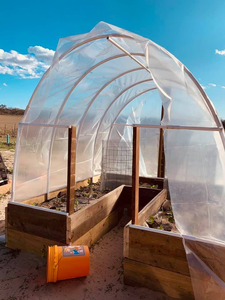 The keyhole garden has now been covered with plastic and has some live plants from the greenhouse growing in it.