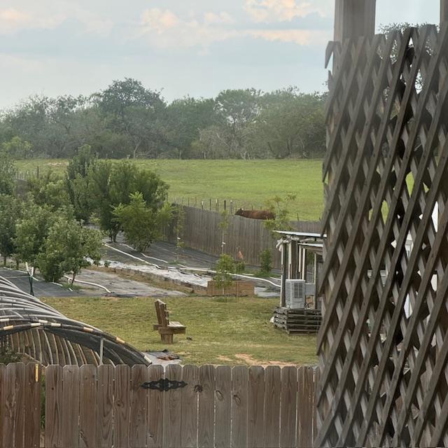 The cow moved all around the property all day long. It was sort of scary because she could have destroyed things due to her size.
