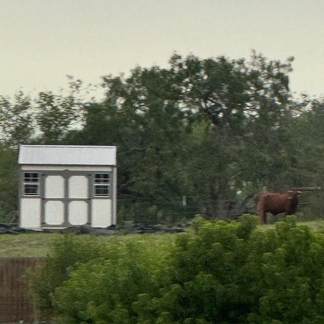 bull6 bull6
