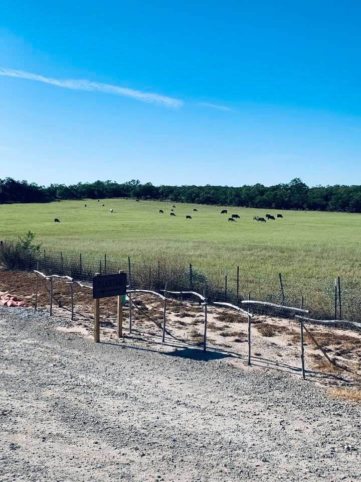 The gorgeous cows next door are having fun in that hay field just chomping away. I tell you what, this view beats the view we had in San Antonio!