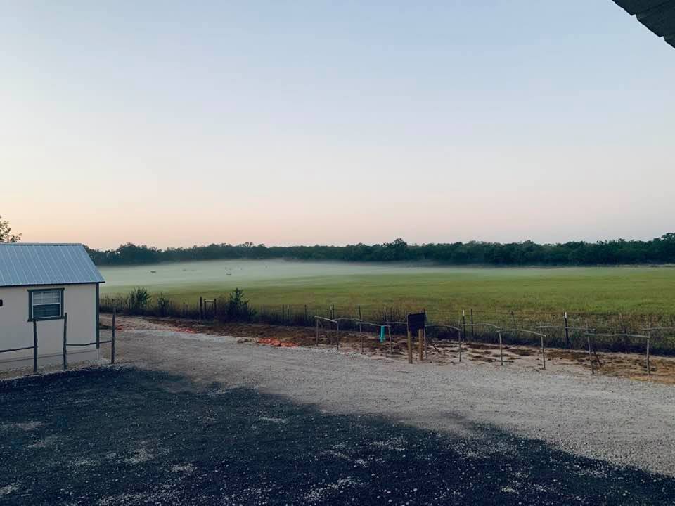 The specks in the fog is a herd of about 25 cows in the hay field next door to us. Isn't the fog so cool looking?