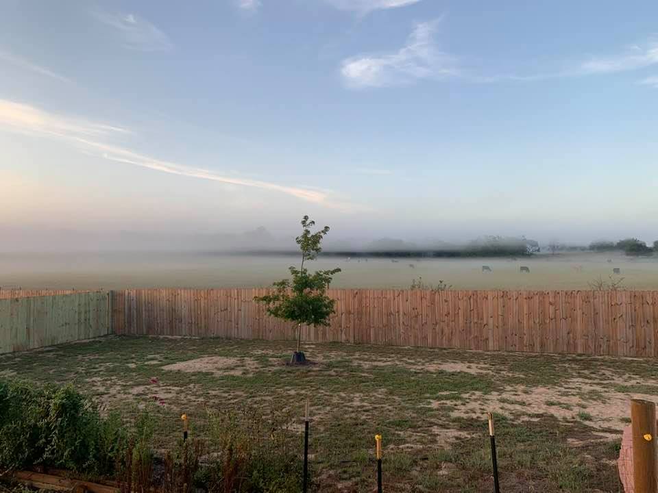 October on the farm can mean the cows are in fog in the early mornings. I love the look!