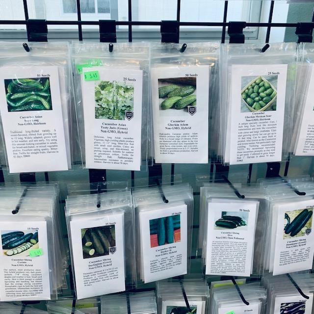 Planting cucumbers seeds is easy when you have so many to choose from.