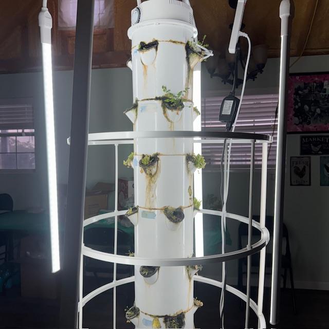 Here is the grow tower after a good cutting. The plants are still there so hopefully they will start growing more greens soon.