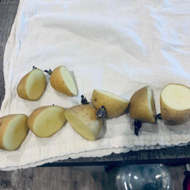 These are small yellow potatoes from the grocery store.