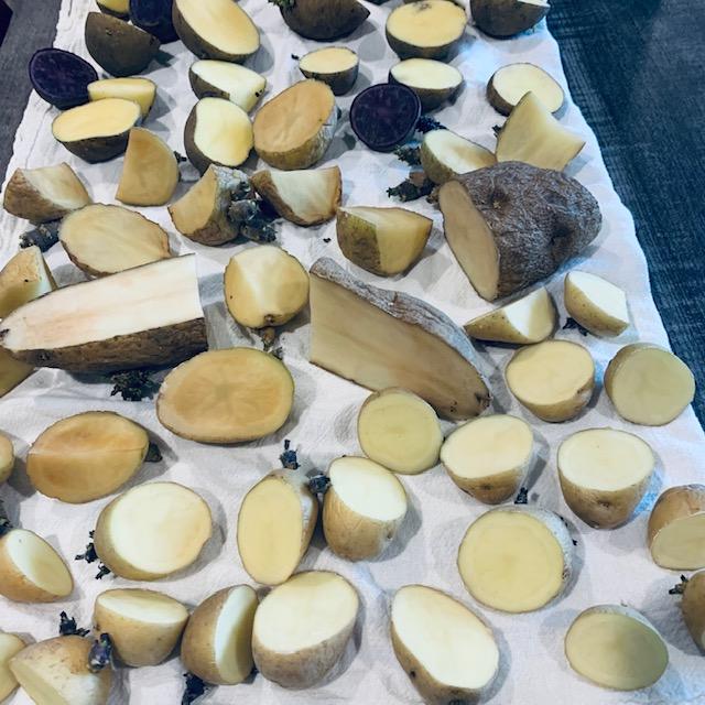 A few of the pieces are very big because there was only one chit on those big portions.