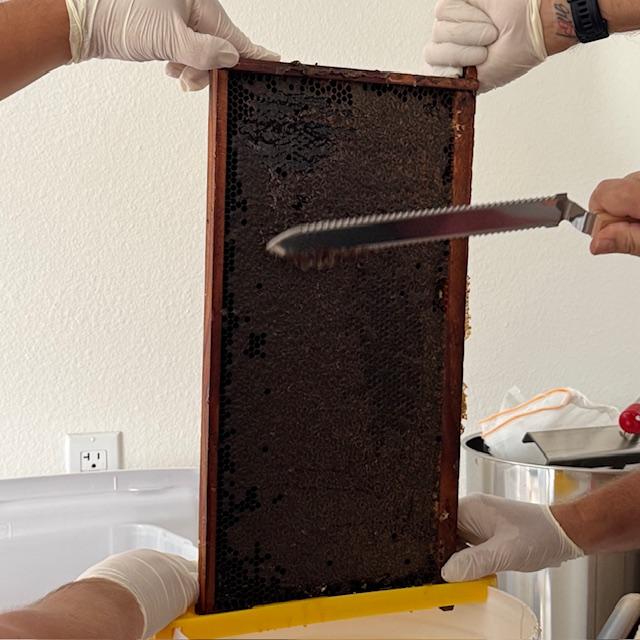 If there is a thick coat of wax, you need this knife. Cut the wax off first and then use the wax lifting tool. The wax has to come off so the honey can flow.