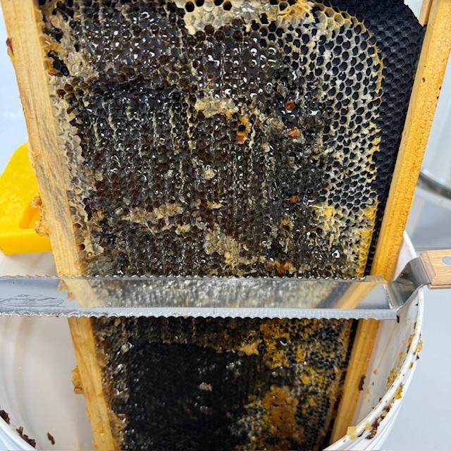 Bees are amazing. Each cell is shaped the same and they are made of wax. They fill the cells with honey and then they cap off the top so the honey stays in the cell.