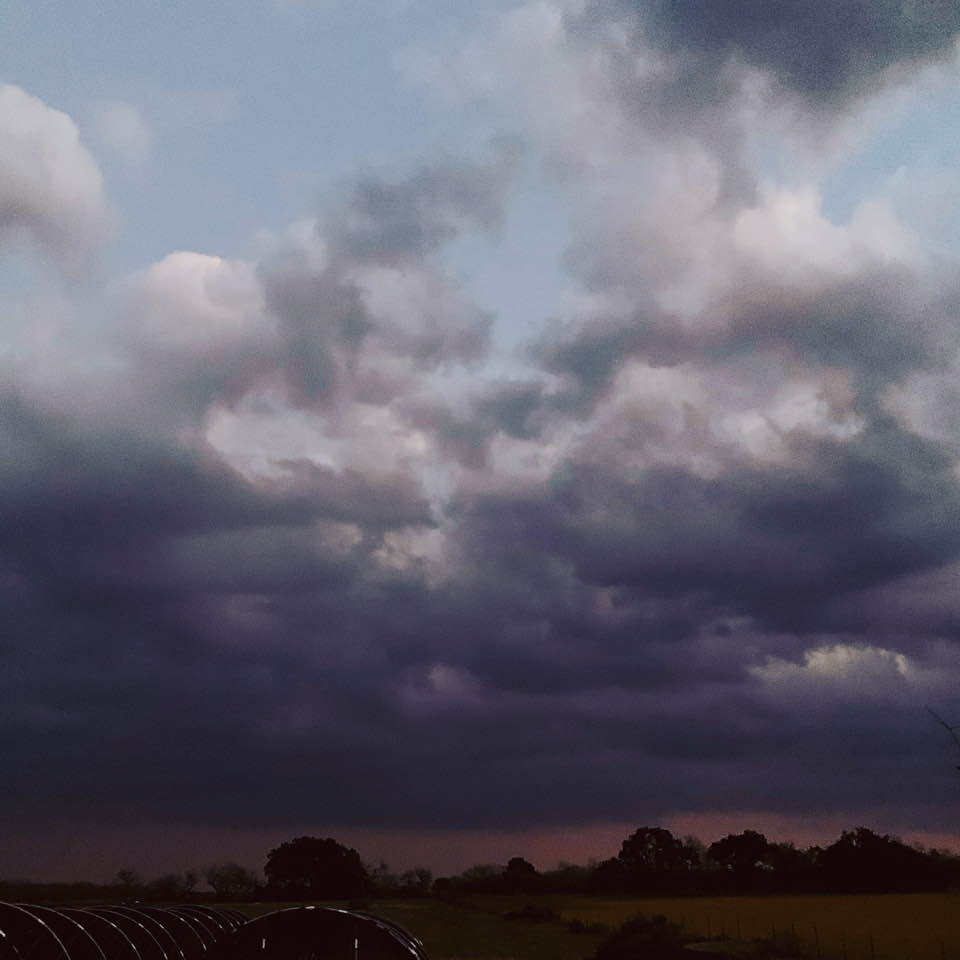 Here is our cloudy sunrise this morning.