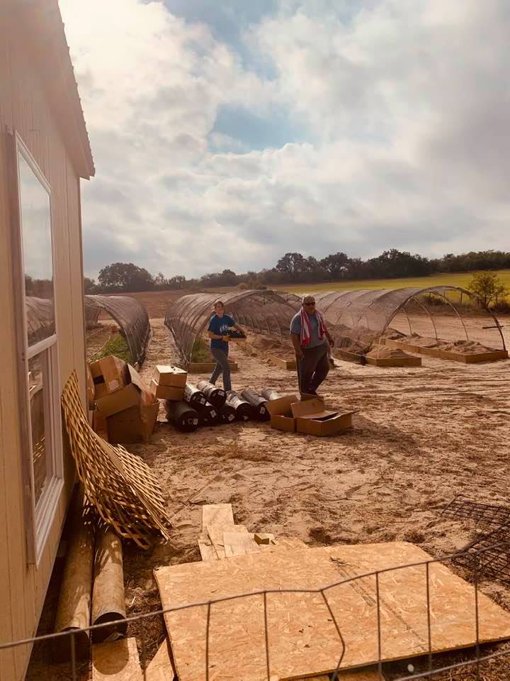 David and Bethany worked a lot out in the garden area today, getting ready to plant for winter on Friday. It was hot and humid out there today.