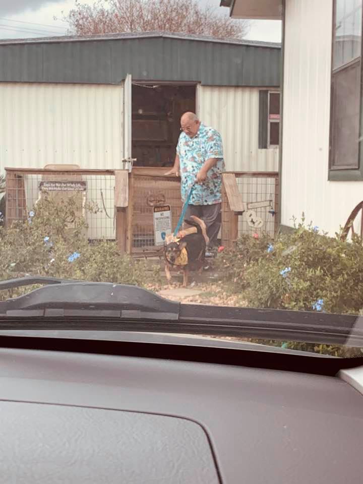 David getting Annabelle from the groomer.