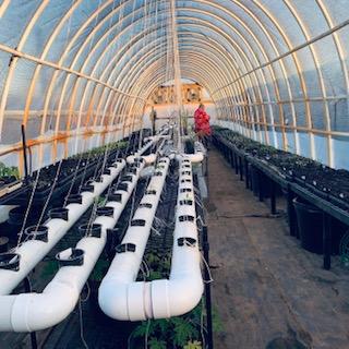 David in his high tunnel with his hydroponics system that he designed.