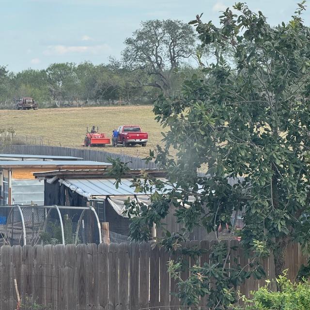 David and the neighbor talk about the job while our dogs watch from the truck. They love to go bye bye with Daddy. David and the neighbor talk about the job while our dogs watch from the truck. They love to go bye bye with Daddy.