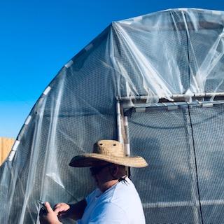 David in his sombrero answering a text in front of the greenhouse.