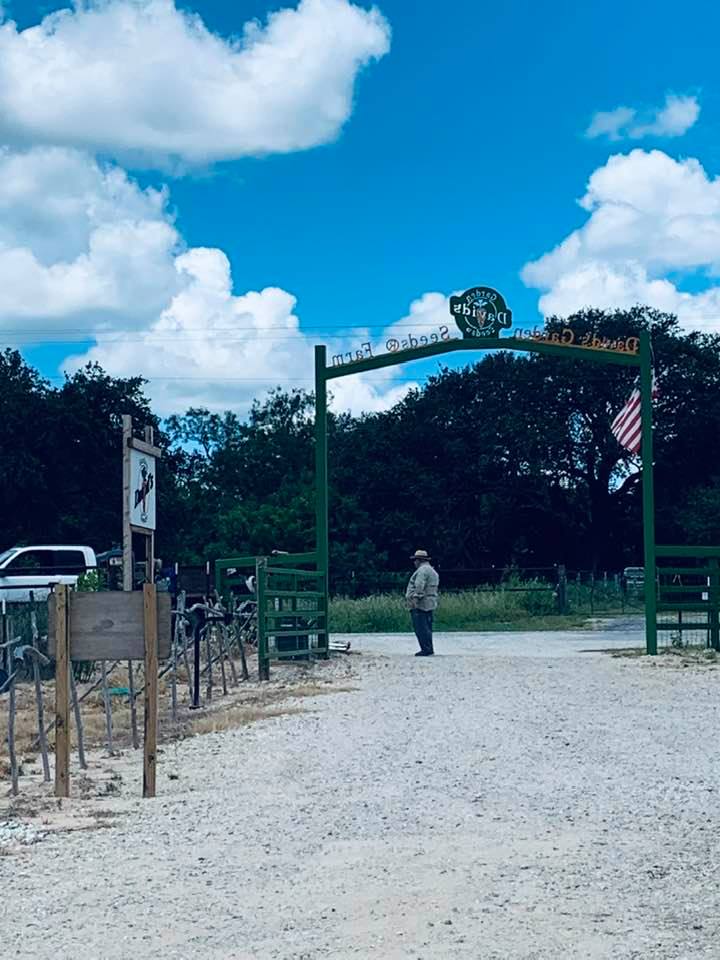David and Jorge are at our front gate, getting ready to fix the flags.