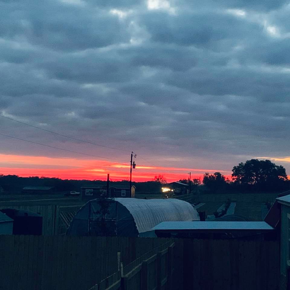 Dawn on the farm. The color was a deep magenta but cameras do not do justice to God's paintings.