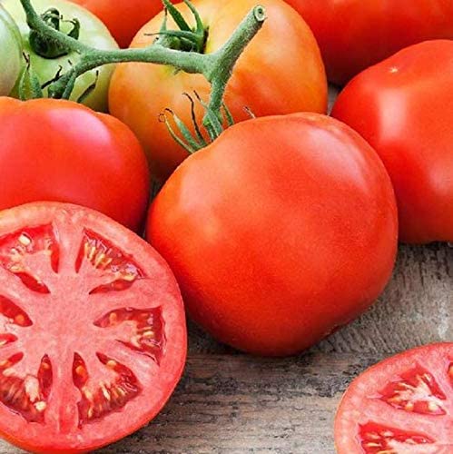 Grow some Delicious Beefsteak Heirloom Tomatoes for spring.