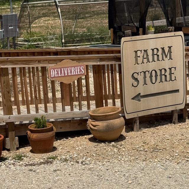 The Amazon driver put the envelope on the railing right above the Deliveries sign here. I never would have thought to look there and it was a windy day. Education is important, people! The Amazon driver put the envelope on the railing right above the Deliveries sign here. I never would have thought to look there and it was a windy day. Education is important, people!