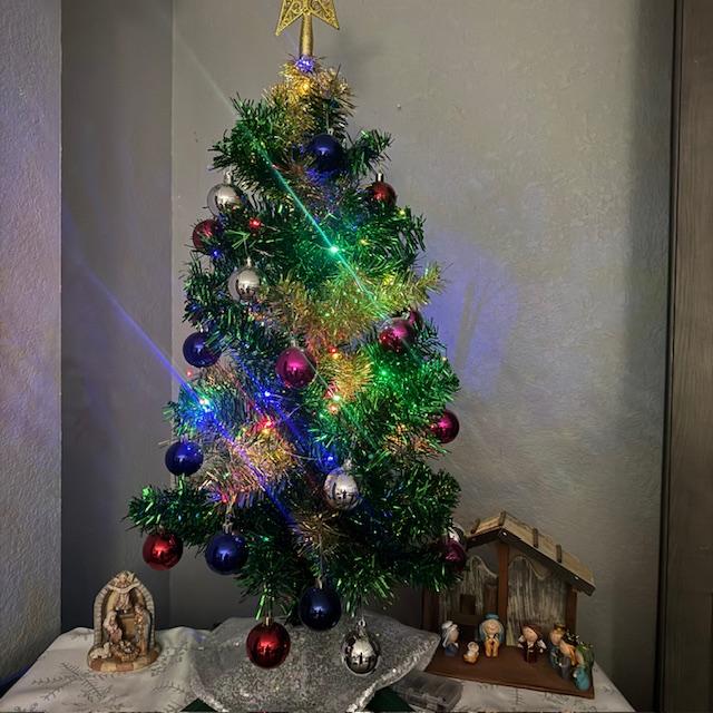 This is our little tree in the den.