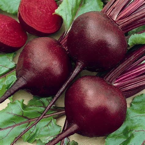 The Detroit Dark Red Beet is the second  on our Top Ten Easiest Vegetables To Grow From Seed List.