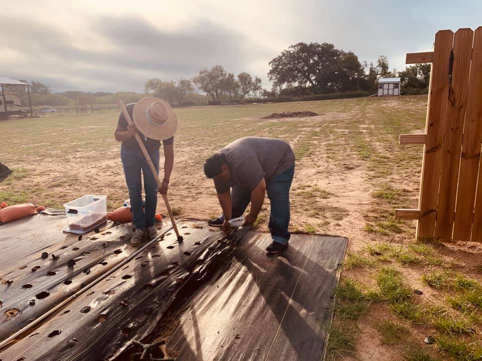 Our manager and one of our college student team members plant beans together.