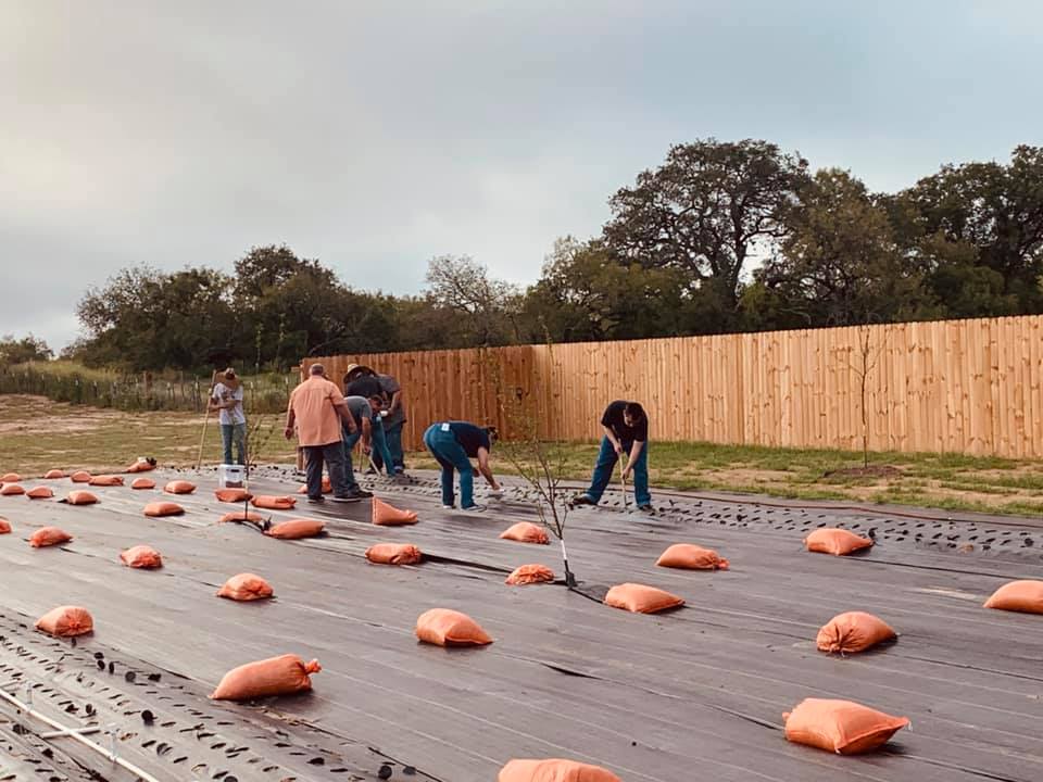 David is instructing half of the team how to plant bean seeds.