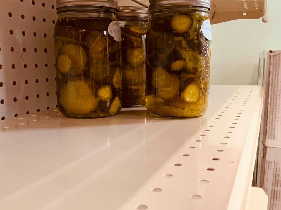 Dill pickles made by David 10 days ago are for sale in our farm store and they are tasty.