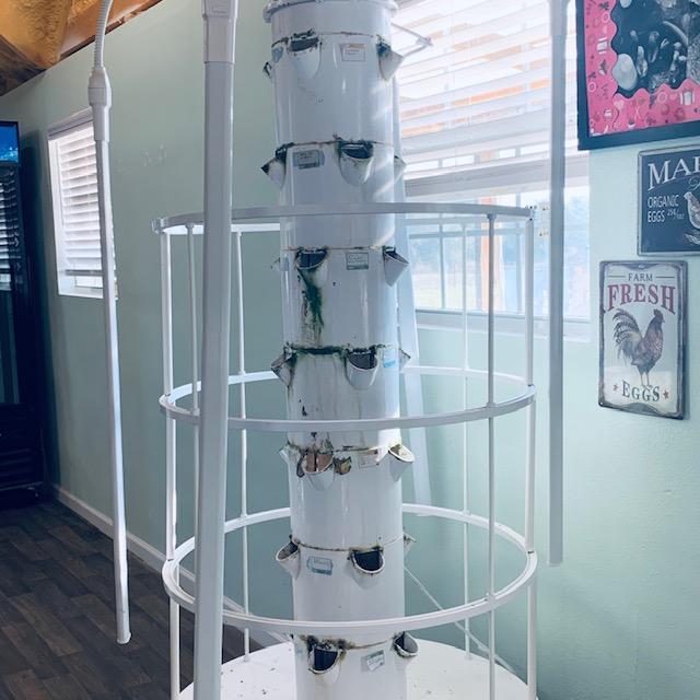 The water tends to splash out a bit and form algae and calcium buildup when you plant in a grow tower.