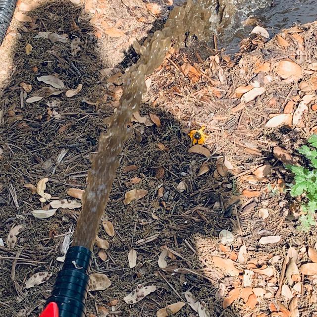 I have been trying to filter the pollen out of the pond and each day it is dirty.