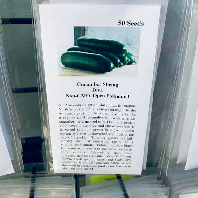 The Diva is our #1 cucumber. Order some and get to planting cucumber seeds this spring. They are so tasty! The Diva is our #1 cucumber. Order some and get to planting cucumber seeds this spring. They are so tasty!