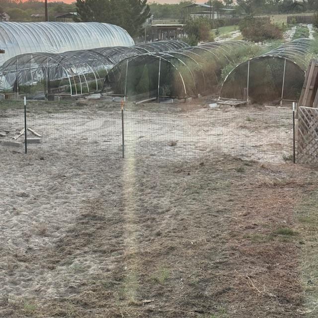 Now the dogs can look out at the back 40 and see some of what is going on. Matt got the dog fence taken care of while we left to go see friends.