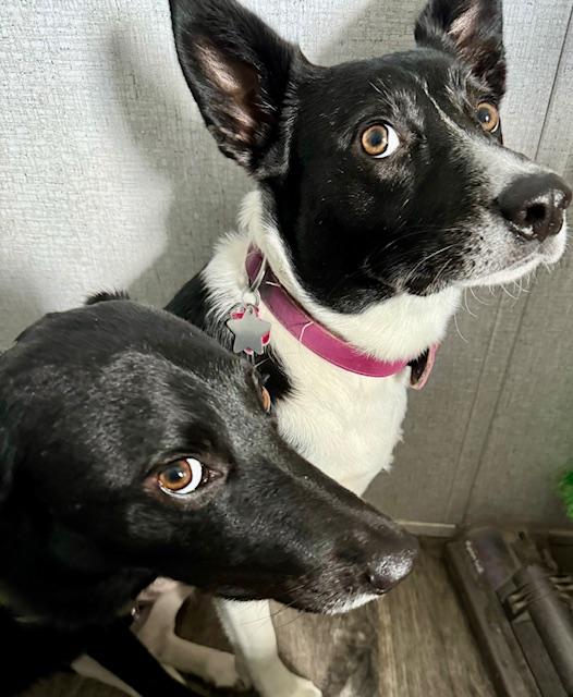 Pamela and Sue Ellen. They are too cute!